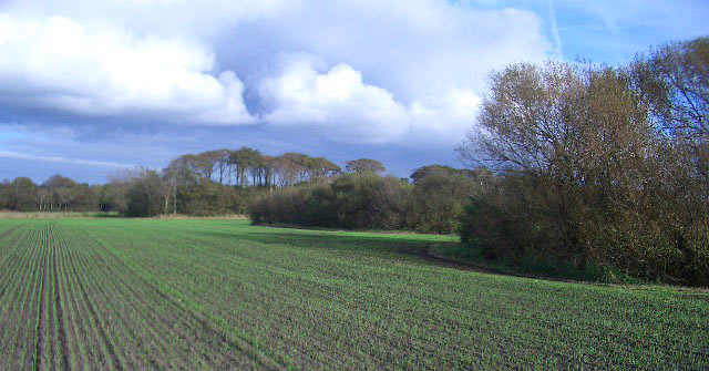 Cheshire Countryside